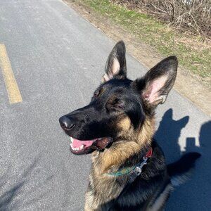 Meet your Posher, Bianca